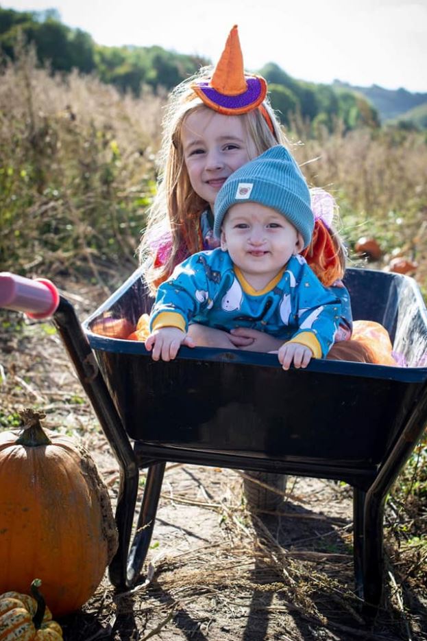 Pumpkins